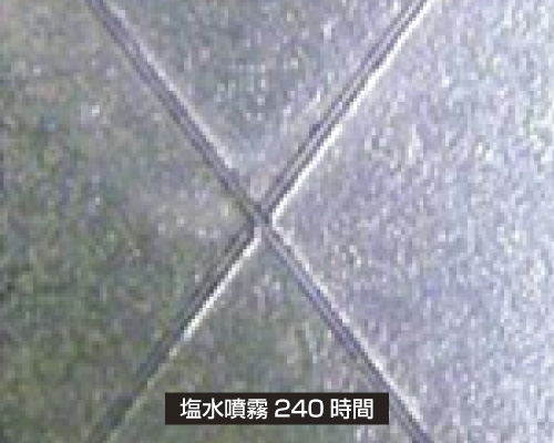 イオニスコートのクロスカット試験_240時間